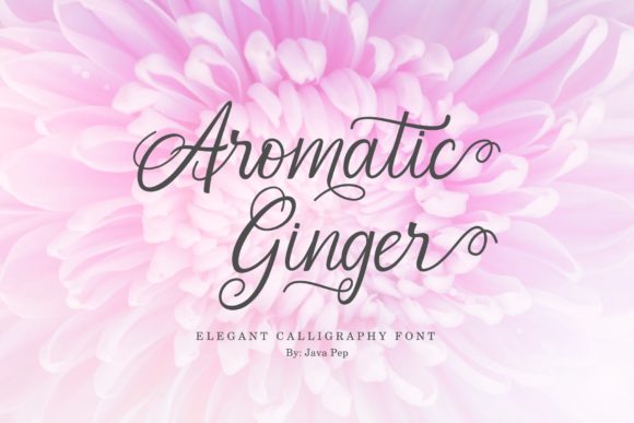 Aromatic Ginger Brings Elegant Hand Lettering to Your Brand Identity