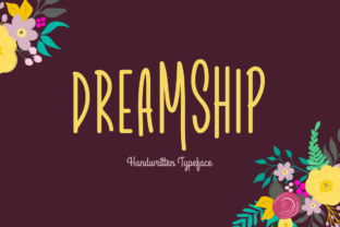 Dreamship – A Designer’s Honest Review for Real Project Use