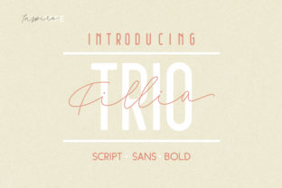 Filia: A Retro Display Font Trio for Consistent Branding That Customers Remember