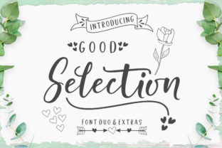 Good Selection Duo: A Web Designer’s Review of This Charming Typeface