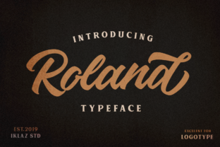 Roland Script Amp Font: A Branding Upgrade Worth Thinking About